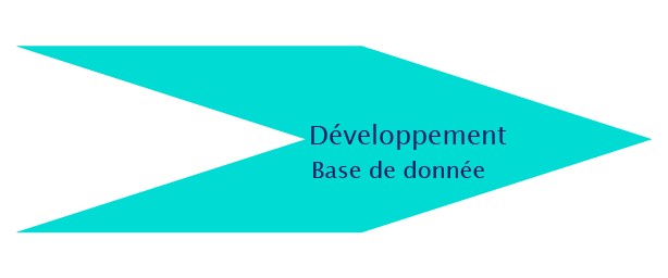 DevBaseDonnee